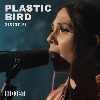 Plastic Bird | HIDDEN SESSIONS (the livest music videos in the world) by Sirintip