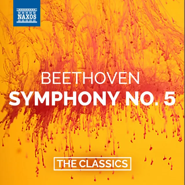 Symphony No. 5 in C Minor, Op. 67: I. Allegro con brio