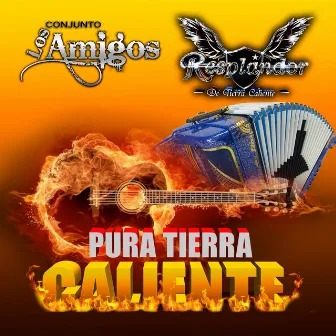 Pura Tierra Caliente by Conjunto Los Amigos