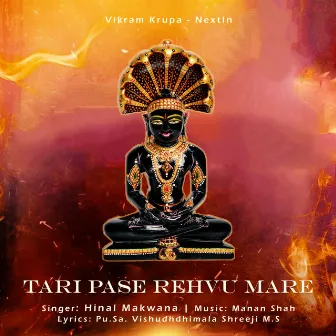 Tari Pase Rehvu Mare by Vikram krupa