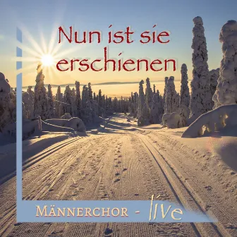 Nun Ist Sie Erschienen (Live) by Männerchor