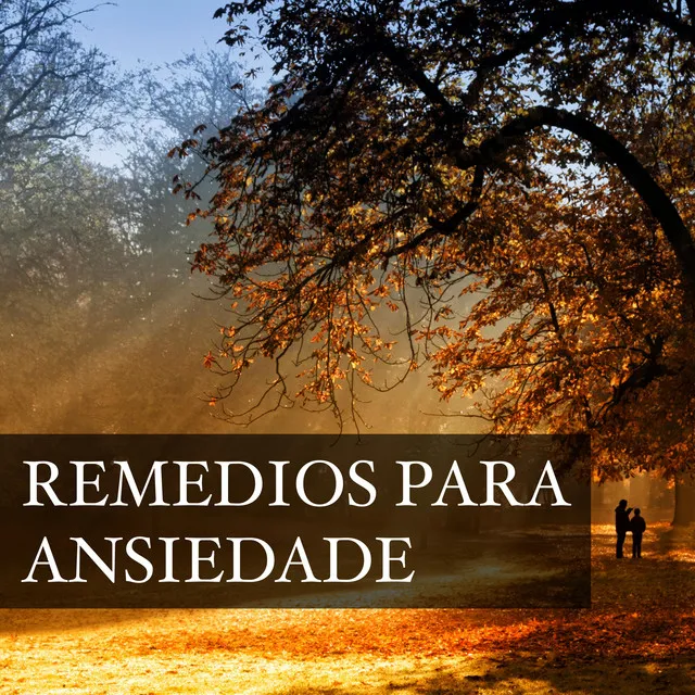 Remedios para Ansiedade - Como Controlar a Ansiedade con a Musica Relaxante New Age