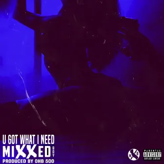 U Got What I Need by Mixxedboy