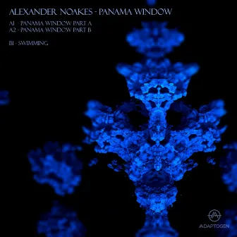 Panama Window by Alexander Noakes