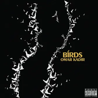 Birds - Single by Omar Kadir