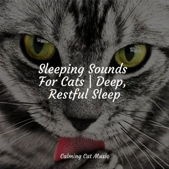 Sleeping Sounds For Cats | Deep, Restful Sleep by Relaxmycat