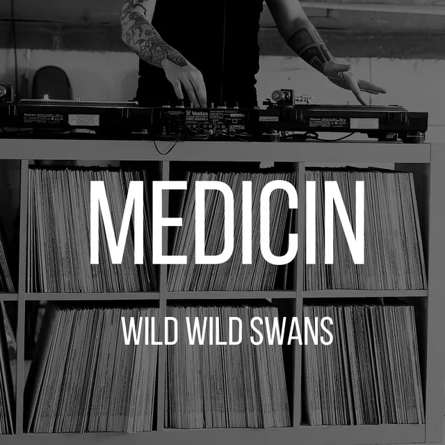 Wild Wild Swans