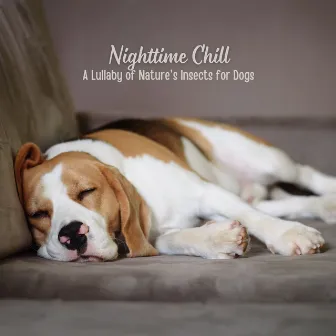 Nighttime Chill: A Lullaby of Nature's Insects for Dogs by Dog Solitude