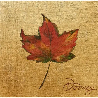 Dooney by Dooney