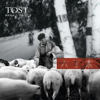 Tost by Arnau Obiols