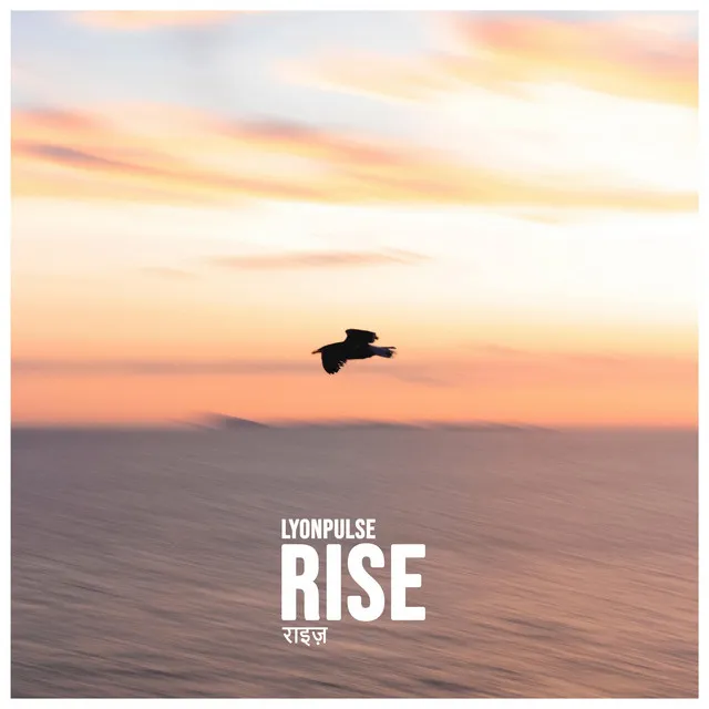 Rise