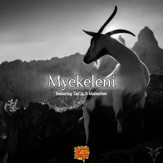 Myekeleni by Dr Cutlass