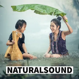 Nature Rain and Relaxation by NATURALSOUND