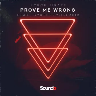 Prove Me Wrong by Porch Pirate