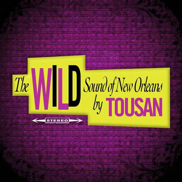 The Wild Sound of New Orleans by Tousan