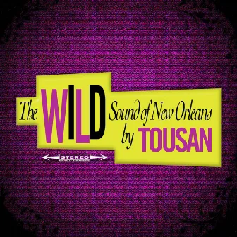 The Wild Sound of New Orleans by Tousan by Allen Toussaint