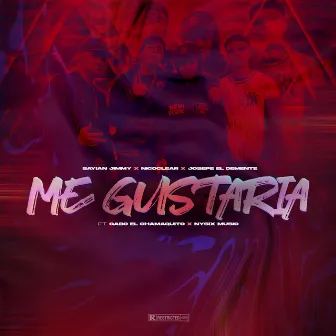 Me Gustaria by JOSEPE EL DEMENTE