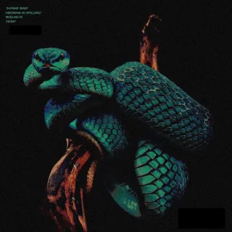 Designer Snakes by Apollo1027