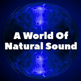 A World Of Natural Sound by Ocean Sound