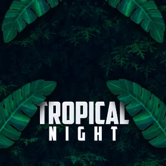 Tropical Night by Dannf Vorier