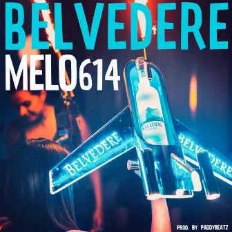 Belvedere by Melo614