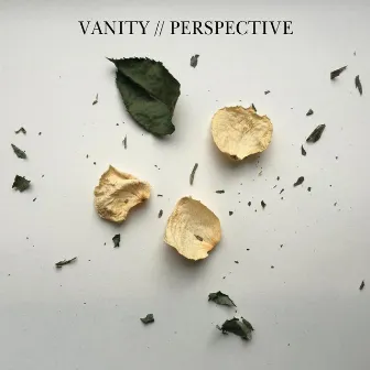 Perspective (Deluxe Edition) by Vanity