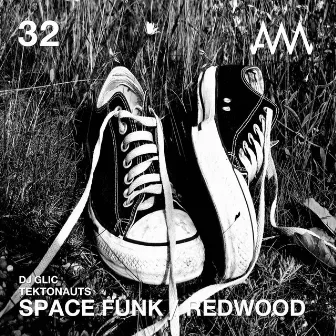 Space Funk / Redwood by Dj Glic