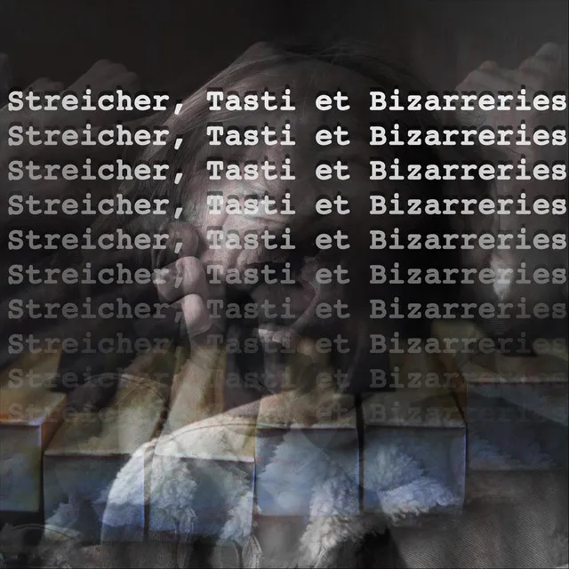 Streicher, Tasti et Bizarreries