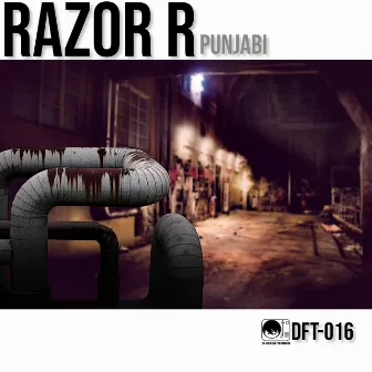 Punjabi by Razor R