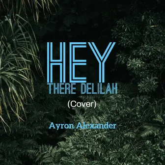 Hey There Delilah by Ayron Alexander