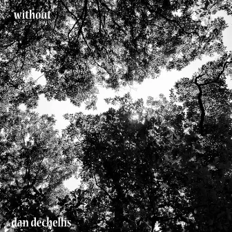 Without by Dan DeChellis