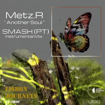 Another Soul Remix by Metz.R