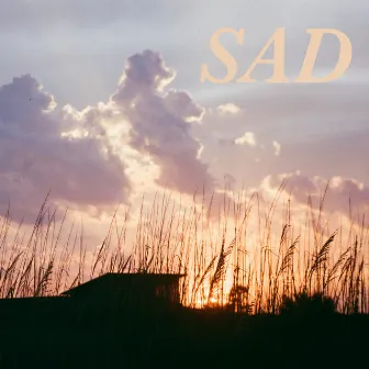 Sad by Karen Meat