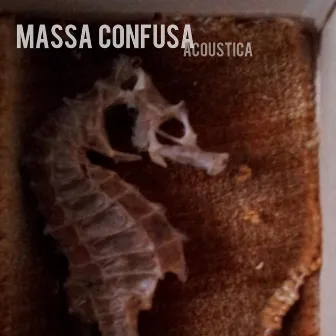 Acoustica by Massa Confusa