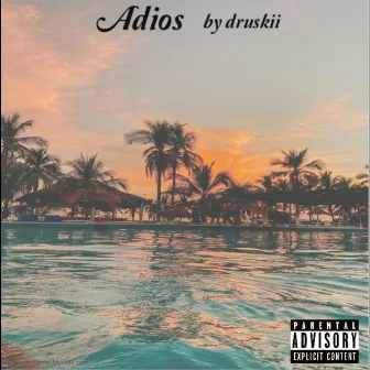 Adios by Druskii