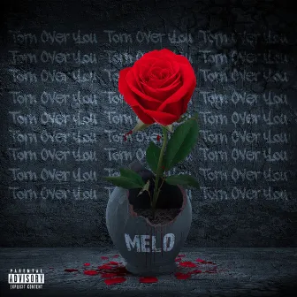 Torn over You by Melo