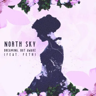 Dreaming, but Awake by North Sky