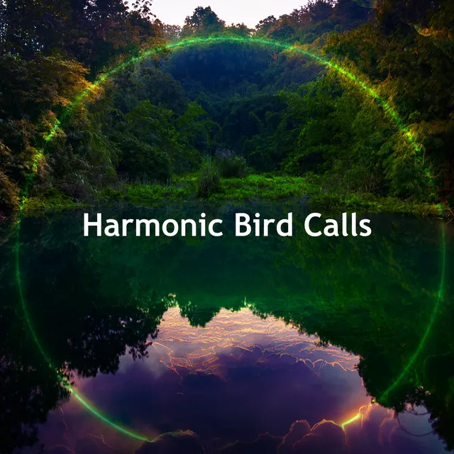 Harmonic Bird Calls