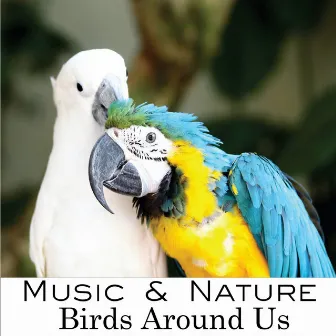 Birds Around Us by Music & Nature