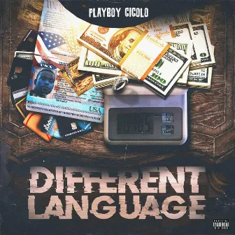 Different Language by Playboy Gigolo