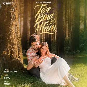 Tere Bina Main by Shevv