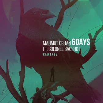 6 Days (Remixes) by Colonel Bagshot