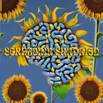 SERATONIN SUNDRIED by Ned Wolf