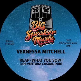 Reap (What You Sow) [Joe Ventura Casual Dub] by Vernessa Mitchell