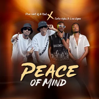 Peace of Mind by Starcent Dj & Red