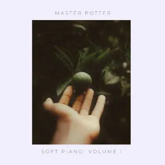 master potter by Unknown Artist