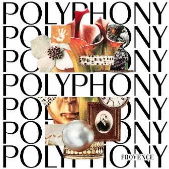 Polyphony by Provence