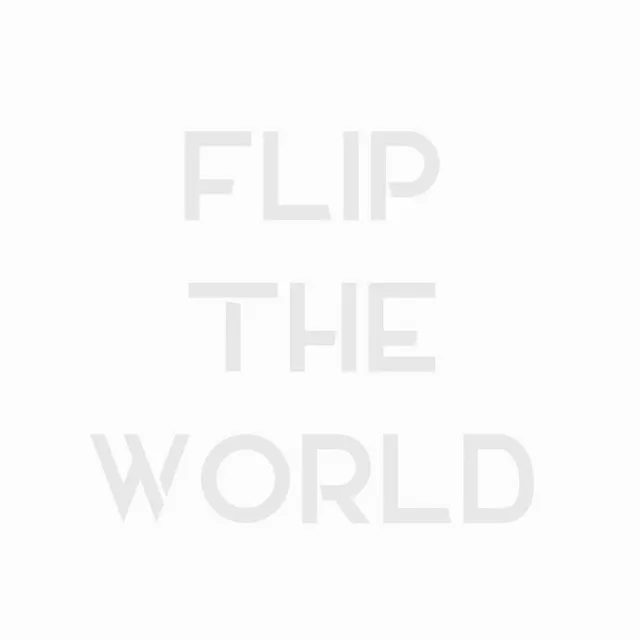 Flip the World