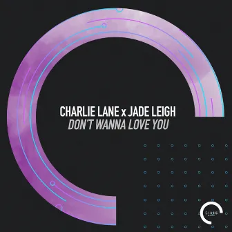 Don't Wanna Love You by Charlie Lane