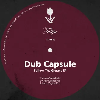 Follow The Gruuvs EP by Dub Capsule